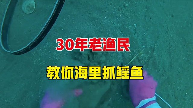 30年老渔民，教你在海里抓鳐鱼
