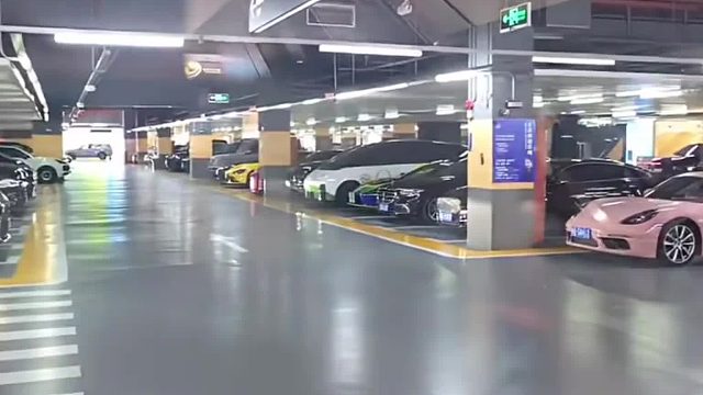 “偶遇野生迈凯伦塞纳”