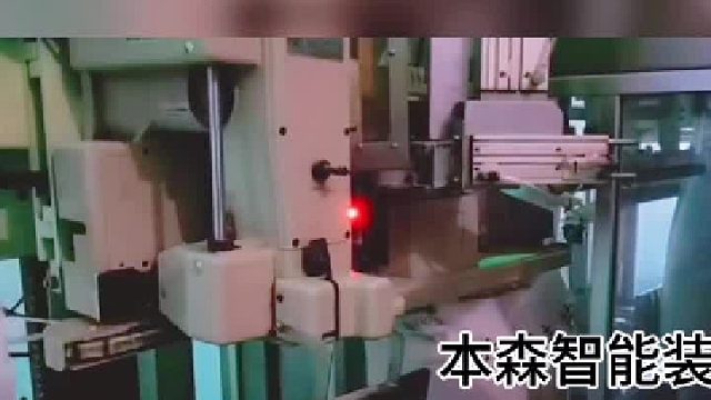 啤酒麦芽大麦种子全自动称重包装机