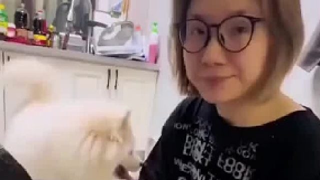 39块买了个勺，狗狗瞬间沉默