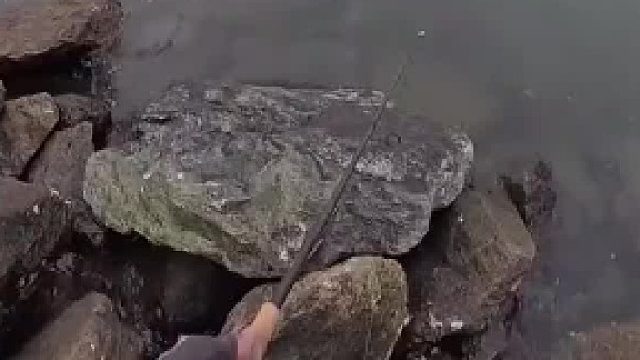 钓友船上奇遇记，巧用打火机修线成闹剧