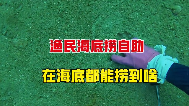 渔民海底捞自助，在海里都能捞到啥