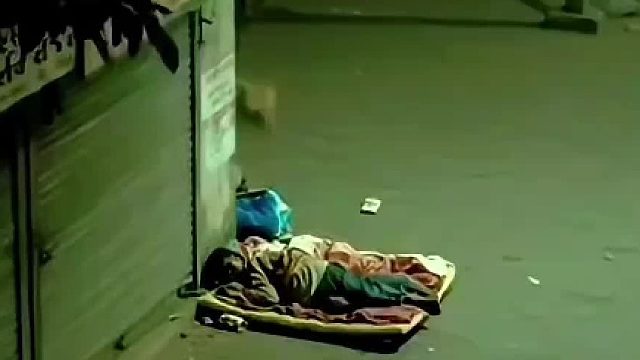 狮子半夜三更进入村子觅食，见了流浪汉竟然绕道而行