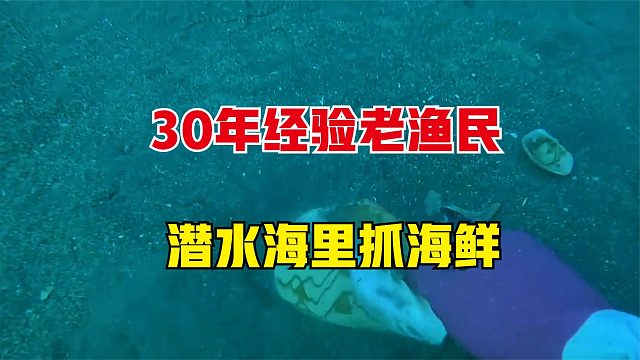 30年经验的老渔民，潜水到海里抓海鲜