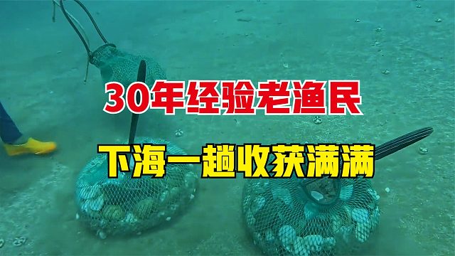 30年经验老渔民，下海一趟满载而归