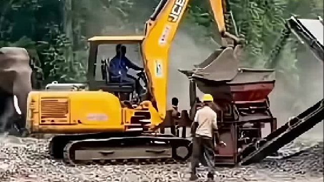 愤怒中的大象简直恐怖如斯也