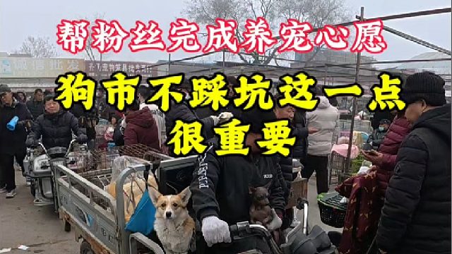 要想狗市不踩坑，知道这一点很重要，就是很多新手小白不易分辨！