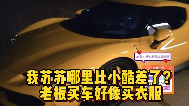 我苏苏哪里比小酷差了？老板买车好像买衣服