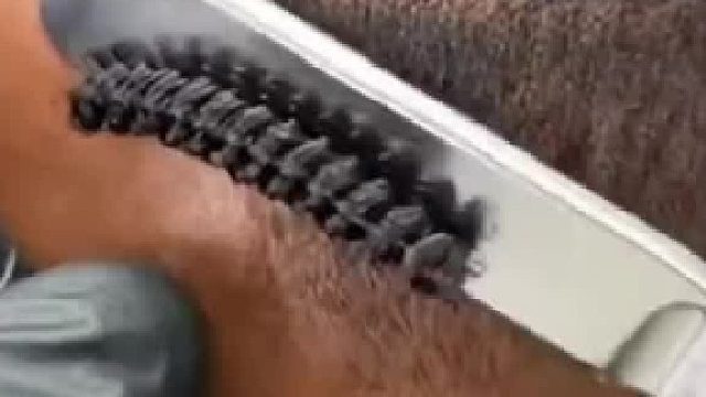 这刀工不去切牛肉可惜了