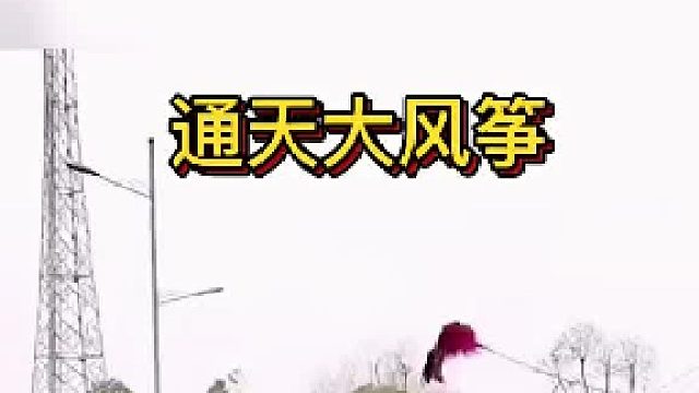 风筝飞好高，大爷手艺真厉害