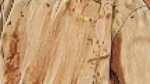 金靖付航强强对决