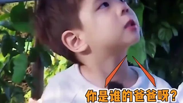 在众人里，唯独霍思燕家那小子，竟毫不畏惧地与陈小春正面交锋