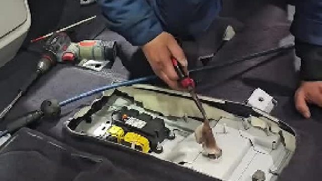八爪鱼在车里凭空消失，找了三天，实在受不了了去4s店寻到了它的下落