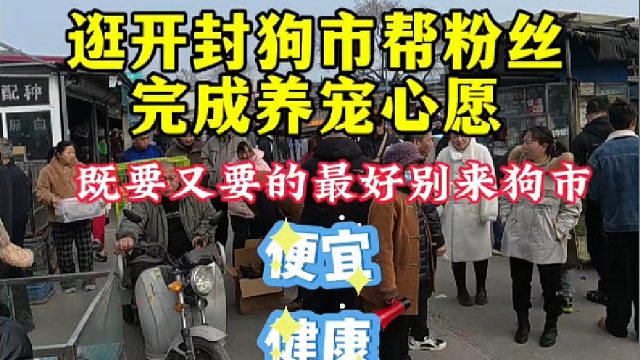 虽然新年已过，开封狗市依旧非常热闹！继续咱帮粉丝完成养心愿！