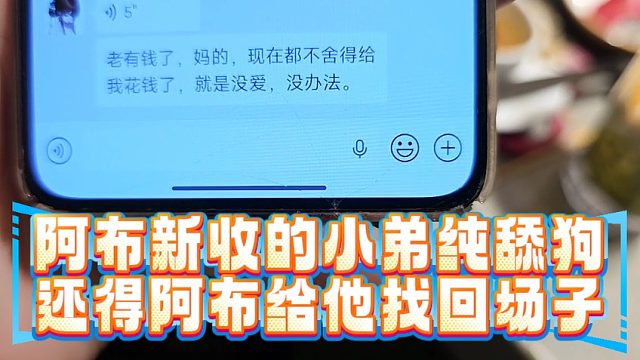 阿布新收的小弟纯舔狗，还得阿布给他找回场子