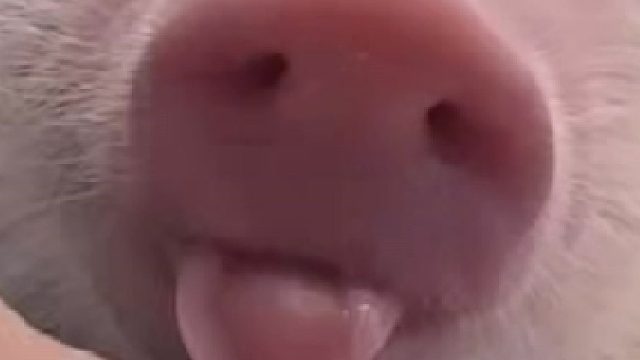 我发现了陈晨小时候的视频~