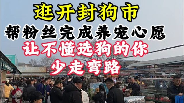 继续逛开封狗市，帮粉丝完成养宠心愿，让不懂的新手小白少走弯路