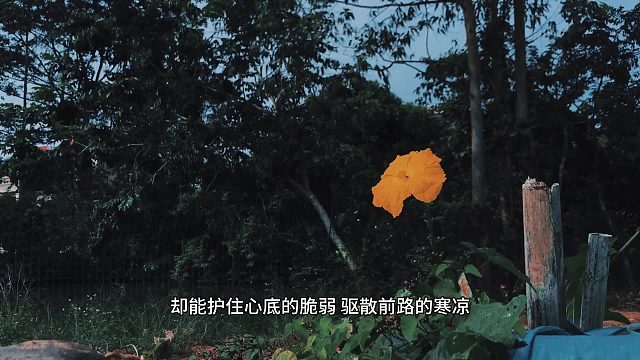 声音是人类最柔软的铠甲梨花声音教育