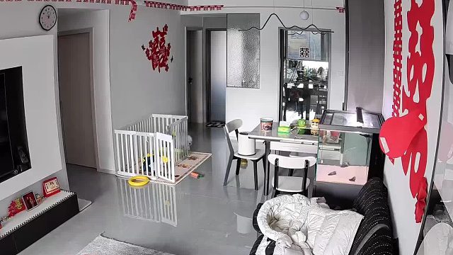怎么会有一只小狗被一条越狱的鱼吓到破音呢