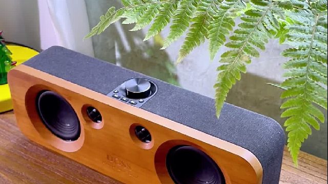 好声音，不将就！DOSS声浪竹木音响