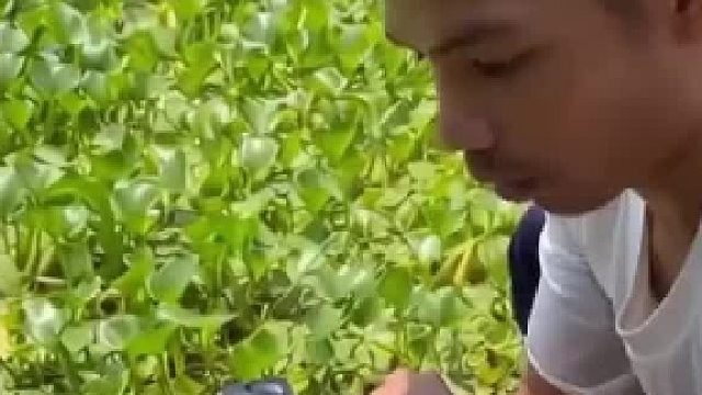 春季出游，给鱼安装了摄像头