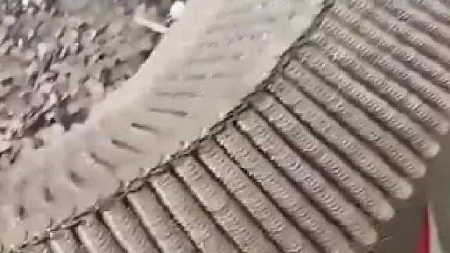 男子花费五年时间 六十万个硬币 建造“古罗马斗兽场”遭质疑