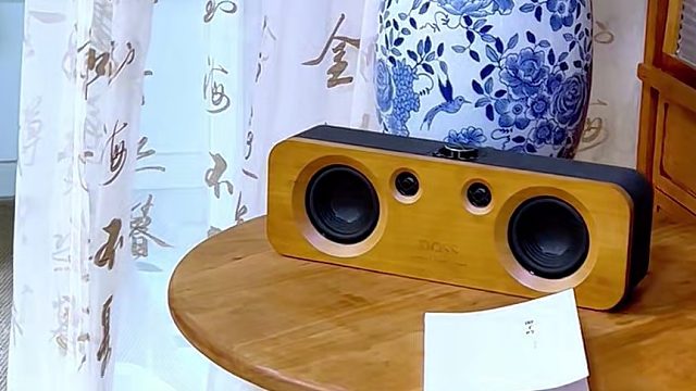 一音一律，皆是享受！DOSS声浪竹木音响