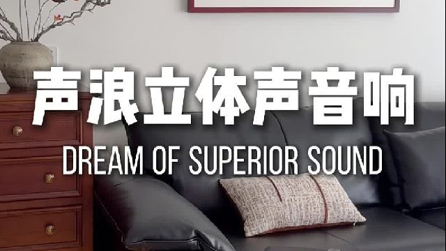 好音质，从此刻入耳！DOSS声浪竹木音响