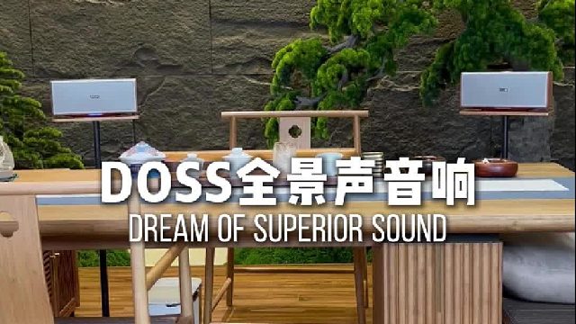 有品味的茶室，全景声音乐治愈日常浮躁