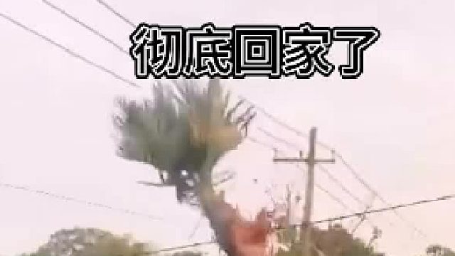 终于到家了，真把我气得不轻