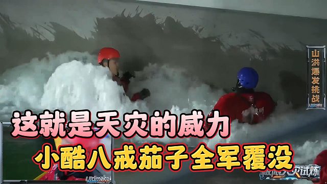 这就是天灾的威力，小酷八戒茄子全军覆没