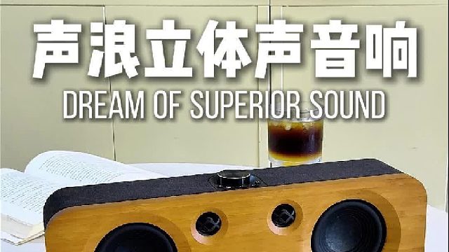 提升居家格调，好音质真不贵！DOSS声浪竹木音响