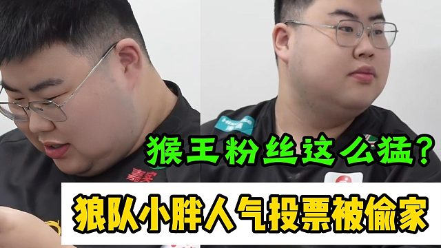 狼队小胖人气投票被偷家，猴王粉丝这么猛？