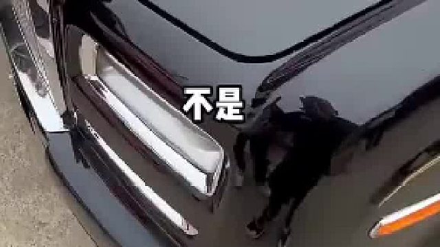 理解不了