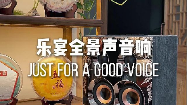 平价高配，声音干净又通透！DOSS乐宴全景声组合音响