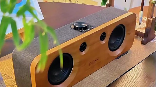 家里的氛围感，全靠这台小音箱！DOSS声浪原木音响