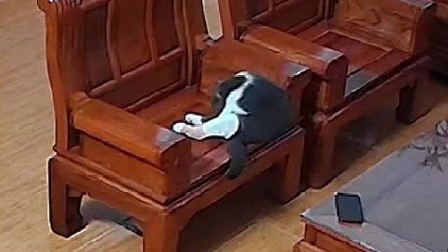 又得重新打石膏了