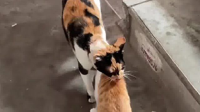 带有血缘关系的妈来看我了