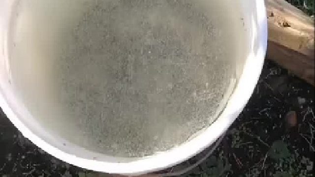 弄碎它弄碎它！！！！！啊，舒服了