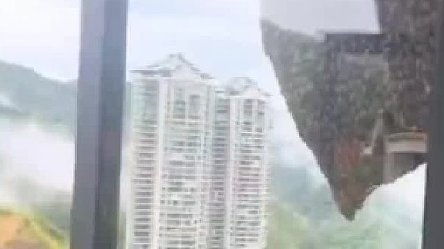 女子家窗户边有个超大蜂窝，她特意拿雨伞试探了一下，网友：这种要专业人士来处理