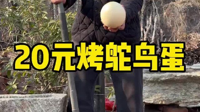 20元地窑烤鸵鸟蛋