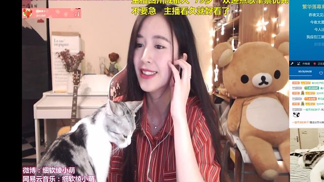 20260316020251熊猫俞飞鸿《离人愁》灵魂黑长直