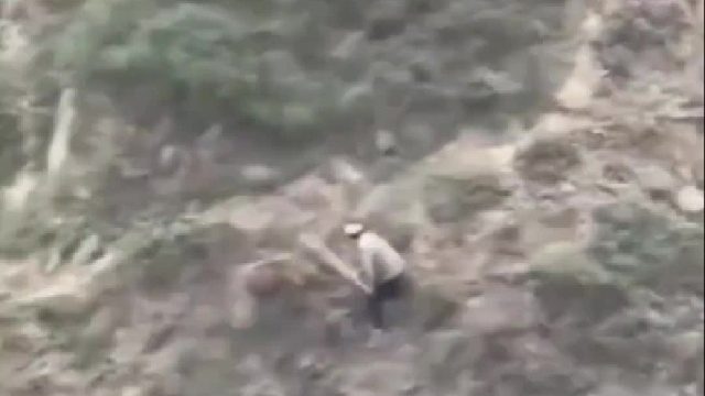 男子遭到野猪袭击，村民集体出动布置陷阱抓捕