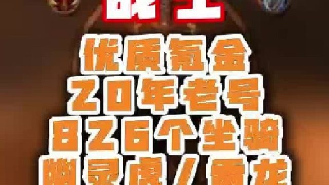 三乐网魔兽账号，稀有宠物直接抱回家