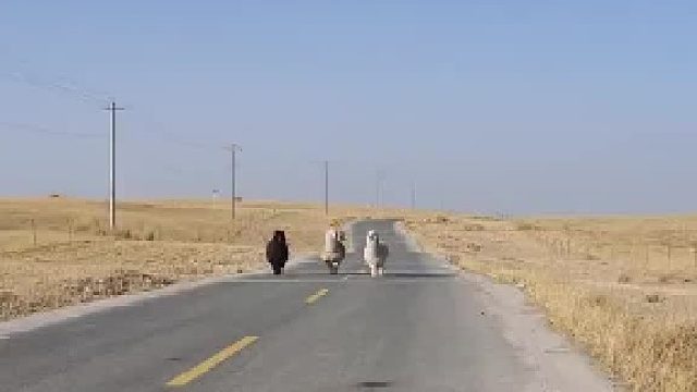 从左至右：侯sai因、阿卜du拉、穆han默德[泪奔]