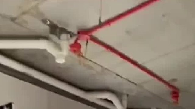 楼上业主也踏马是个人才