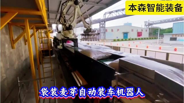 袋装麦芽自动装车机器人厂家