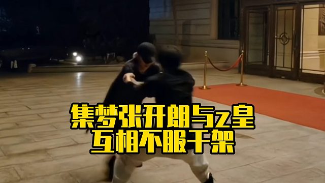 集梦张开朗与z皇互相不服干架