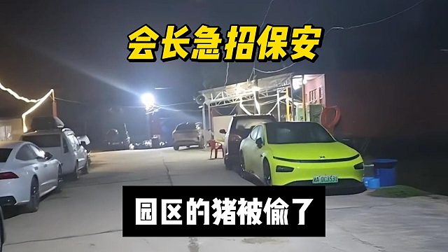 会长急招保安，园区的猪被偷了