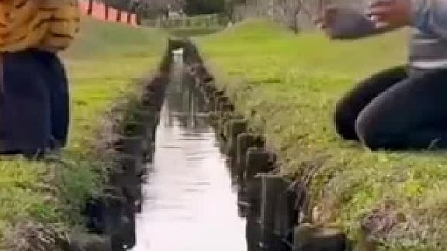 这手劲儿，扔得真精准